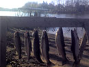Originator Fishing Charter :: Photo Gallery Originator Fishing Charter :: Photo Gallery