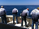 Originator Fishing Charter :: Photo Gallery Originator Fishing Charter :: Photo Gallery
